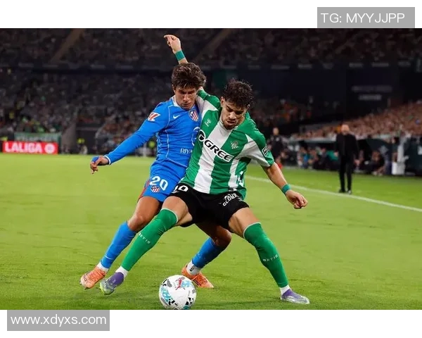 西甲联赛视频回放地址与平台介绍